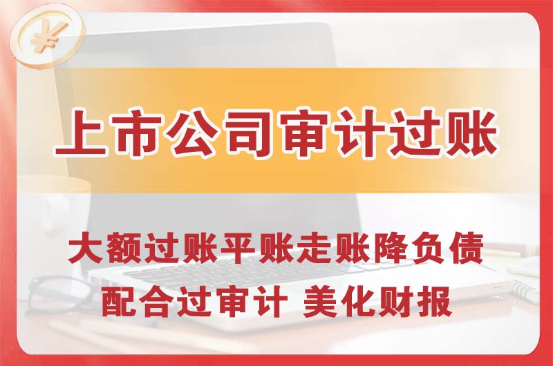 海伦上市公司审计过账